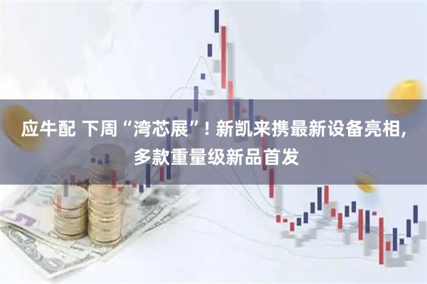 应牛配 下周“湾芯展”! 新凯来携最新设备亮相, 多款重量级新品首发