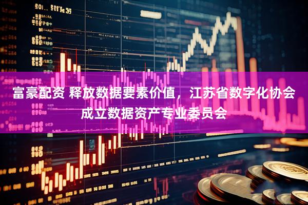 富豪配资 释放数据要素价值，江苏省数字化协会成立数据资产专业委员会