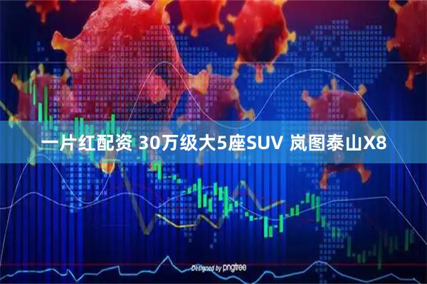 一片红配资 30万级大5座SUV 岚图泰山X8