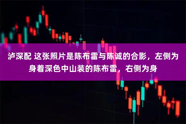 泸深配 这张照片是陈布雷与陈诚的合影，左侧为身着深色中山装的陈布雷，右侧为身